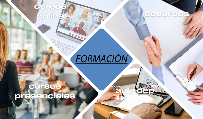 Seccin de Formacin